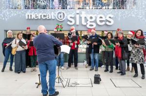 Mercat de Sitges 7 de diciembre 2024